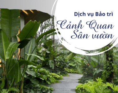 Dịch vụ Bảo Dưỡng và Chăm Sóc Sân Vườn