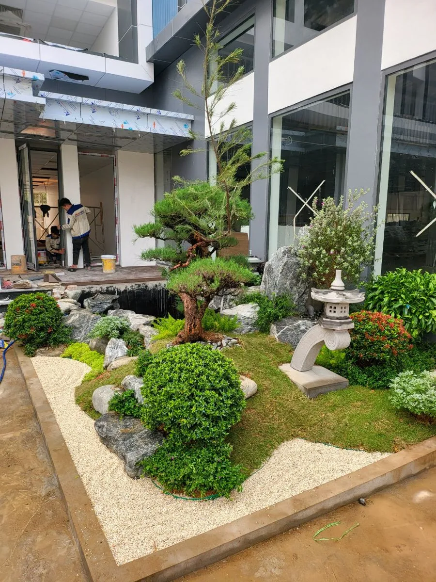 thi-cong-san-vuon-biet-thu4