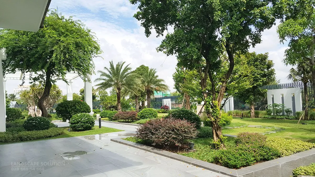 Tiểu cảnh sân vườn