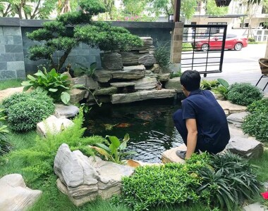 #1 Cách Làm Hồ Cá Koi Đơn Giản