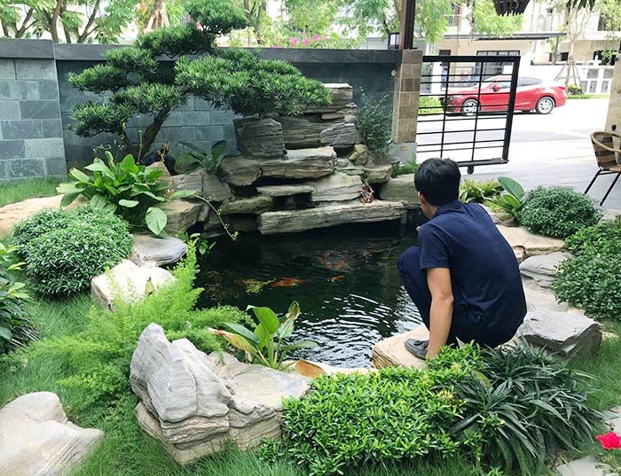 vị trí đặt hồ cá